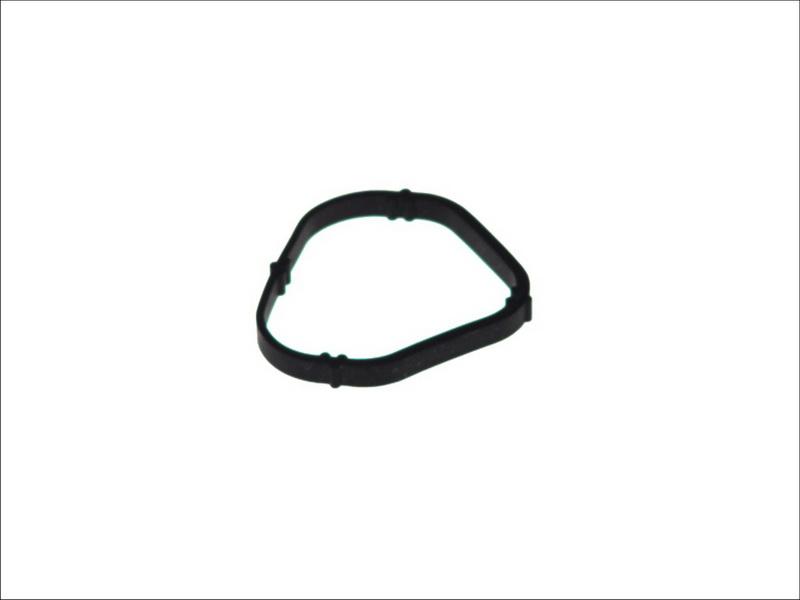 Elring 223.020 - Garnitura, galerie admisie aaoparts.ro
