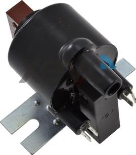 Elta Automotive XIG5819 - Bobina de inductie aaoparts.ro