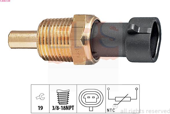 EPS 1.830.129 - Senzor,temperatura ulei aaoparts.ro