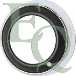 Equal Quality G4388 - Grila ventilatie, bara protectie aaoparts.ro