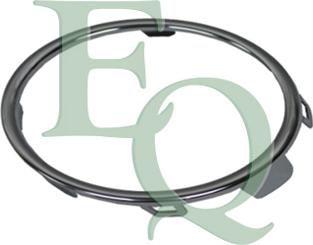 Equal Quality G2769 - Acoperire, faruri ceata aaoparts.ro