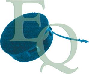 Equal Quality P6402 - Capac carlig remorcare aaoparts.ro