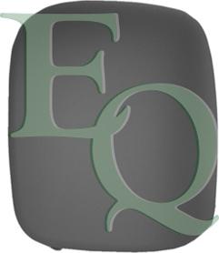 Equal Quality RD02500 - Acoperire oglinda exterioara aaoparts.ro