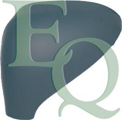 Equal Quality RD02203 - Acoperire oglinda exterioara aaoparts.ro