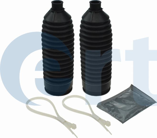 ERT 510323 - Ansamblu burduf, directie aaoparts.ro