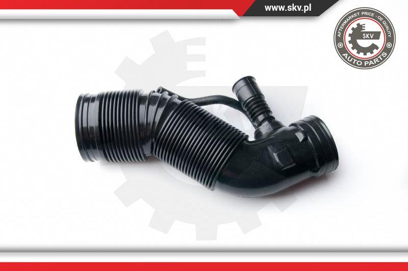 Esen SKV 96SKV001 - Palnie, filtru de aer aaoparts.ro