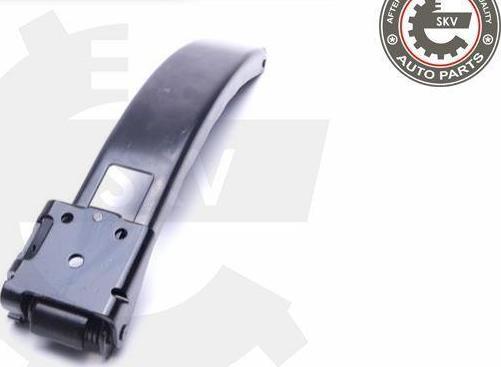 Esen SKV 96SKV163 - Fixare usa aaoparts.ro