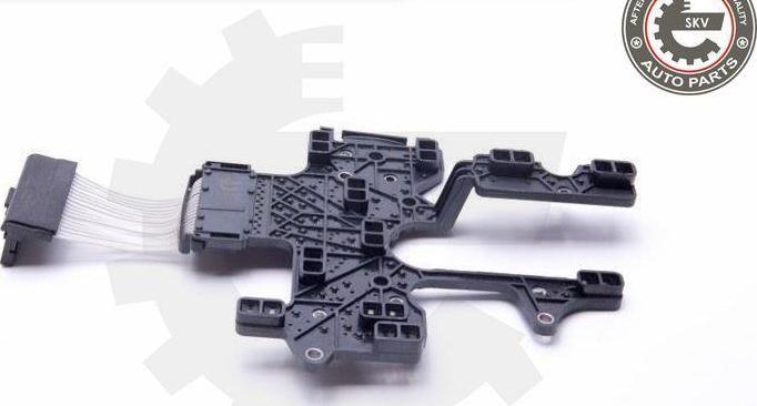 Esen SKV 96SKV208 - Unitate de contol,cutie de viteze automatica aaoparts.ro