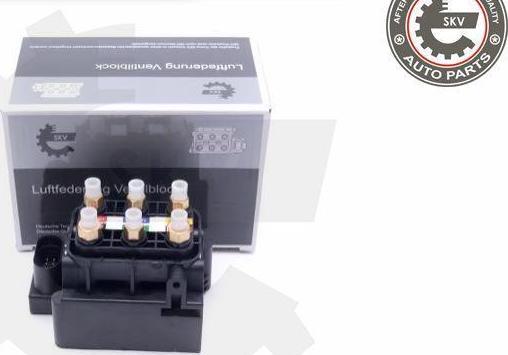 Esen SKV 93SKV806 - Supapa,sistem supraalimentare aaoparts.ro