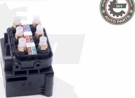 Esen SKV 93SKV800 - Supapa,sistem supraalimentare aaoparts.ro