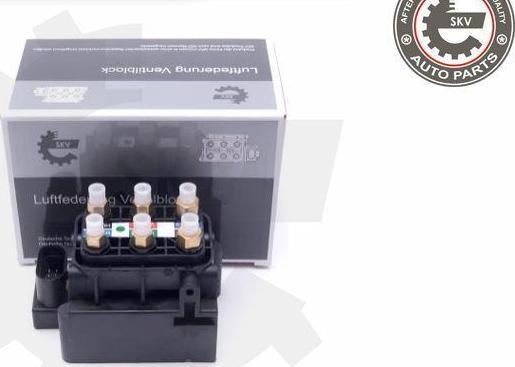 Esen SKV 93SKV803 - Supapa,sistem supraalimentare aaoparts.ro