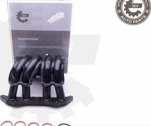 Esen SKV 49SKV044 - Modul conducta admisie aaoparts.ro