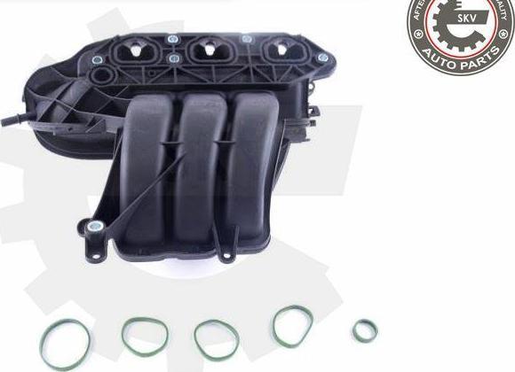 Esen SKV 49SKV056 - Modul conducta admisie aaoparts.ro