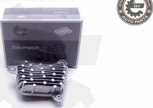 Esen SKV 59SKV099 - Unitate de control,lumini aaoparts.ro