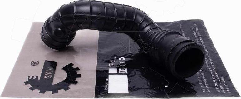 Esen SKV 54SKV528 - Palnie, filtru de aer aaoparts.ro