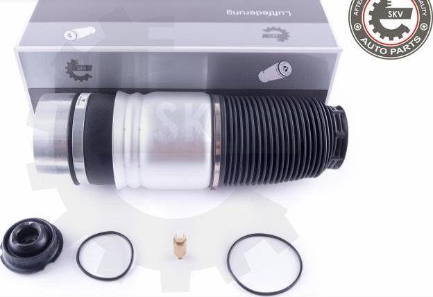 Esen SKV 58SKV035 - Arc pneumatic, directie aaoparts.ro