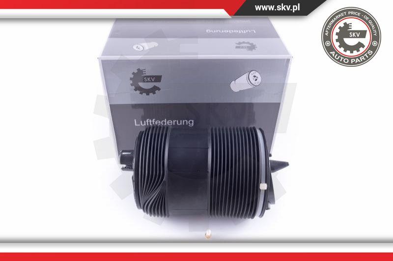 Esen SKV 58SKV033 - Arc pneumatic, directie aaoparts.ro