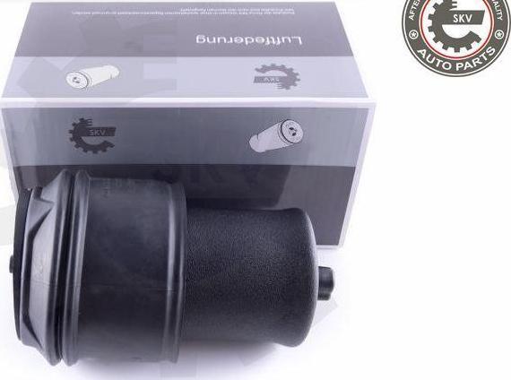 Esen SKV 58SKV022 - Arc pneumatic, directie aaoparts.ro