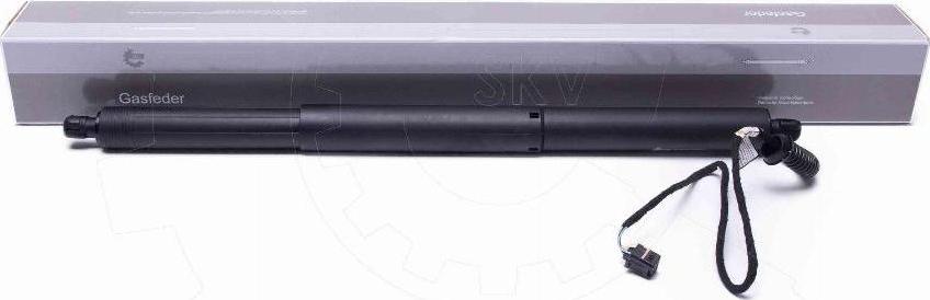 Esen SKV 52SKV953 - Motor electric, haion aaoparts.ro