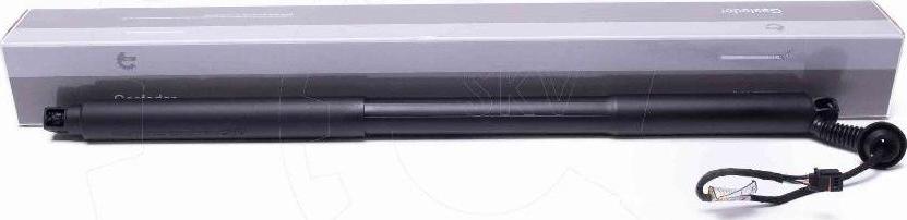 Esen SKV 52SKV969 - Motor electric, haion aaoparts.ro