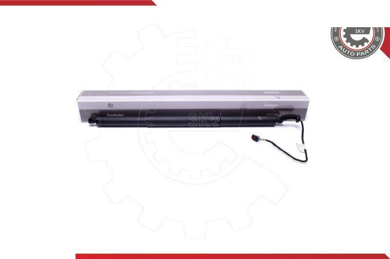 Esen SKV 52SKV914 - Motor electric, haion aaoparts.ro