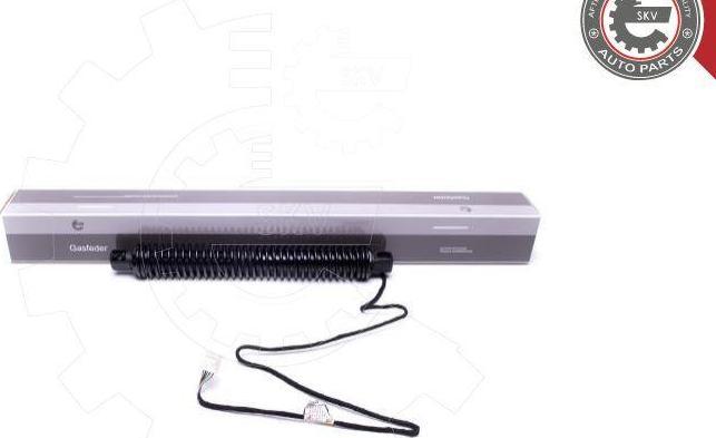 Esen SKV 52SKV934 - Motor electric, haion aaoparts.ro