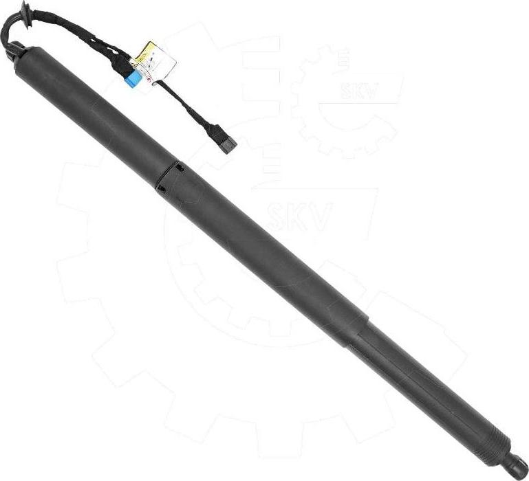 Esen SKV 52SKV972 - Motor electric, haion aaoparts.ro