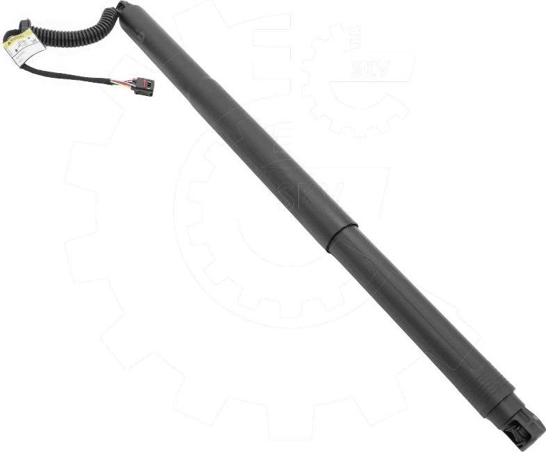 Esen SKV 52SKV197 - Motor electric, haion aaoparts.ro