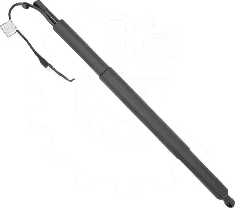 Esen SKV 52SKV209 - Motor electric, haion aaoparts.ro