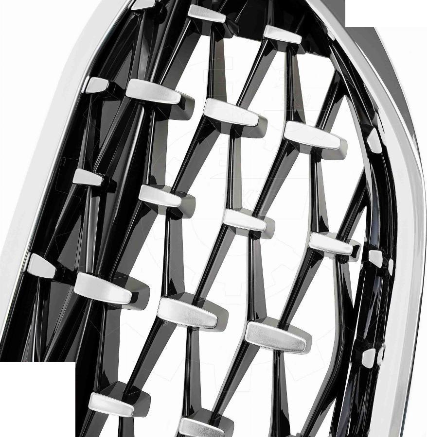 CARRO 154504550 - Grila radiator aaoparts.ro