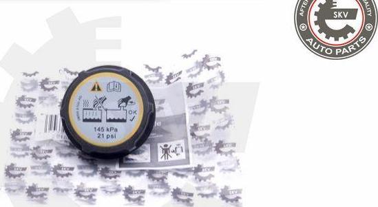 Esen SKV 61SKV005 - Buson,vas expansiune aaoparts.ro
