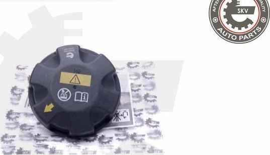 Esen SKV 61SKV002 - Buson,vas expansiune aaoparts.ro