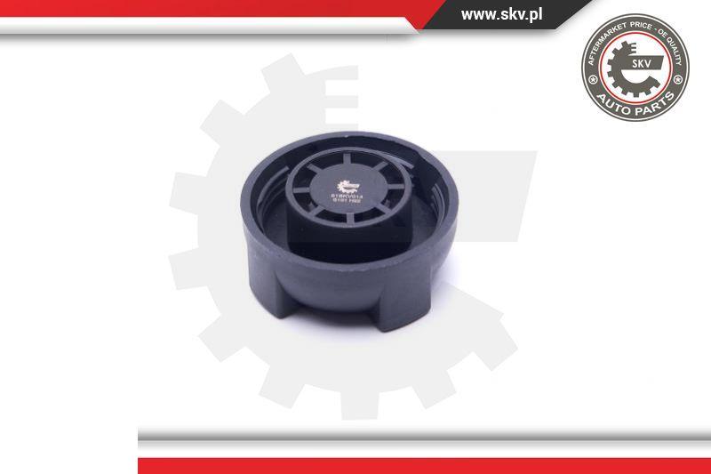 Esen SKV 61SKV014 - Buson,vas expansiune aaoparts.ro