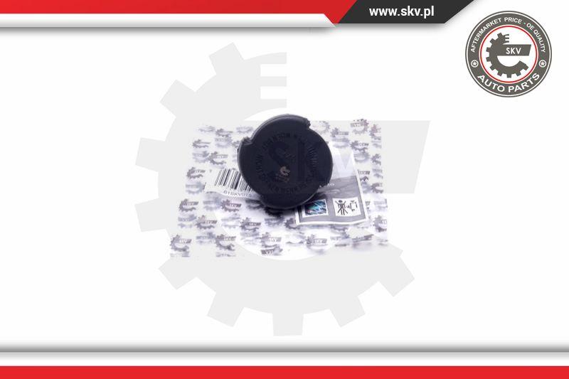 Esen SKV 61SKV015 - Buson,vas expansiune aaoparts.ro