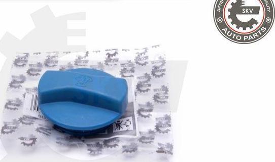 Esen SKV 61SKV011 - Buson,vas expansiune aaoparts.ro