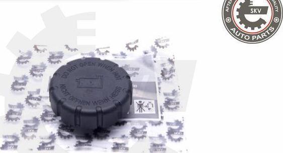 Esen SKV 61SKV017 - Buson,vas expansiune aaoparts.ro
