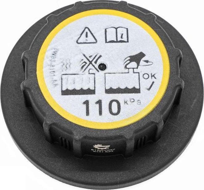 Esen SKV 61SKV037 - Buson,vas expansiune aaoparts.ro