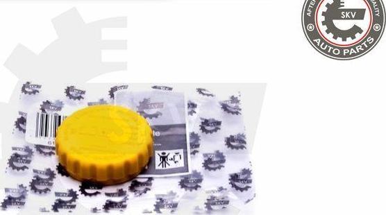 Esen SKV 61SKV020 - Buson,vas expansiune aaoparts.ro