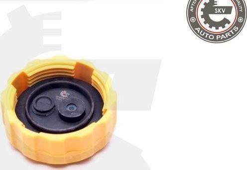 Esen SKV 61SKV021 - Buson,vas expansiune aaoparts.ro