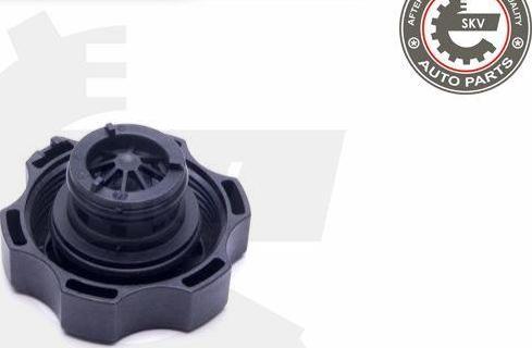 Esen SKV 61SKV023 - Buson,vas expansiune aaoparts.ro