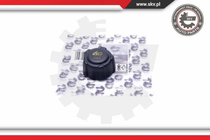 Esen SKV 61SKV027 - Buson,vas expansiune aaoparts.ro