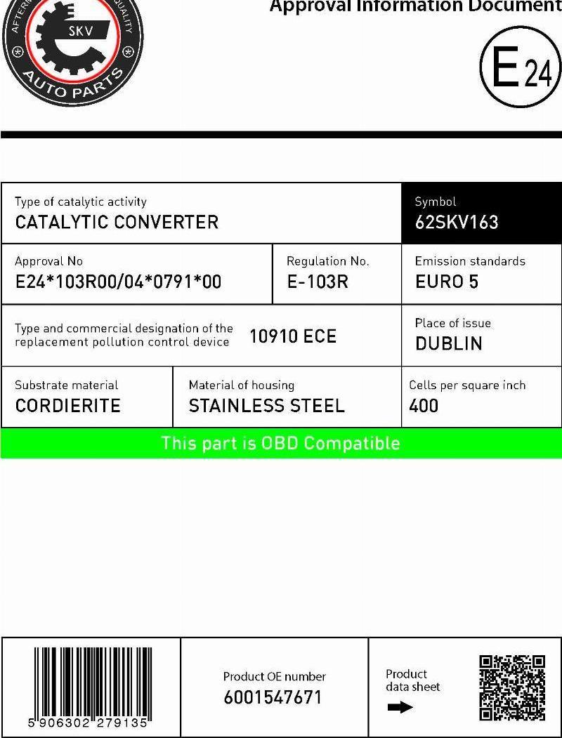 Esen SKV 62SKV163 - Catalizator aaoparts.ro