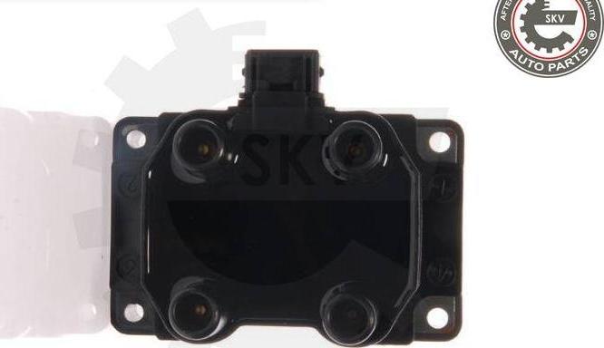 Esen SKV 03SKV010 - Bobina de inductie aaoparts.ro