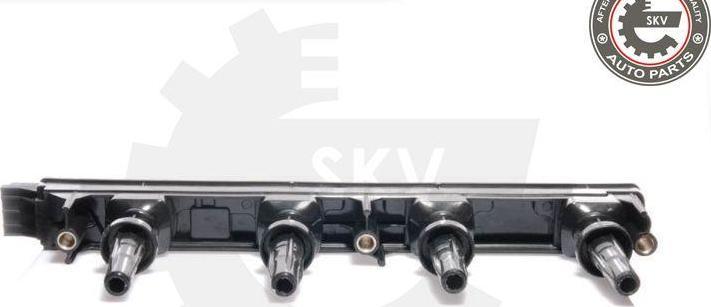 Esen SKV 03SKV117 - Bobina de inductie aaoparts.ro