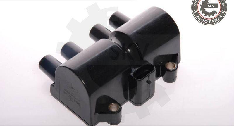 Esen SKV 03SKV131 - Bobina de inductie aaoparts.ro