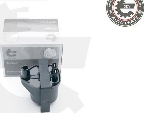 Esen SKV 03SKV263 - Bobina de inductie aaoparts.ro