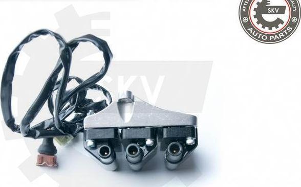 Esen SKV 03SKV217 - Bobina de inductie aaoparts.ro