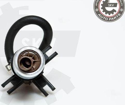 Esen SKV 02SKV729 - Pompa combustibil aaoparts.ro