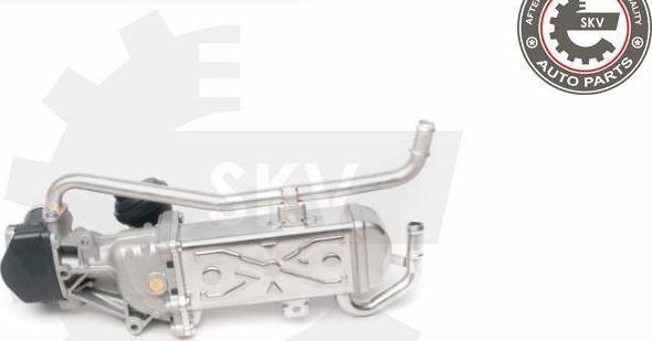 Esen SKV 14SKV095 - Modul-EGR aaoparts.ro