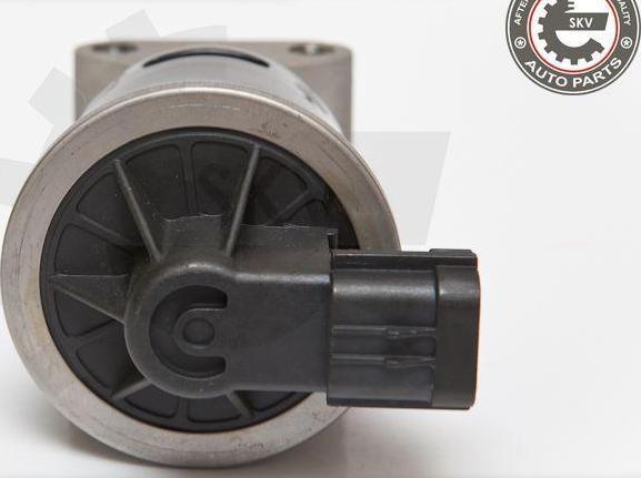 Esen SKV 14SKV053 - Supapa EGR aaoparts.ro